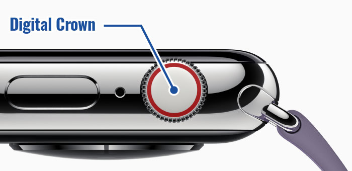 Apple Watch 挿絵 SERIES 4 デジタルクラウン