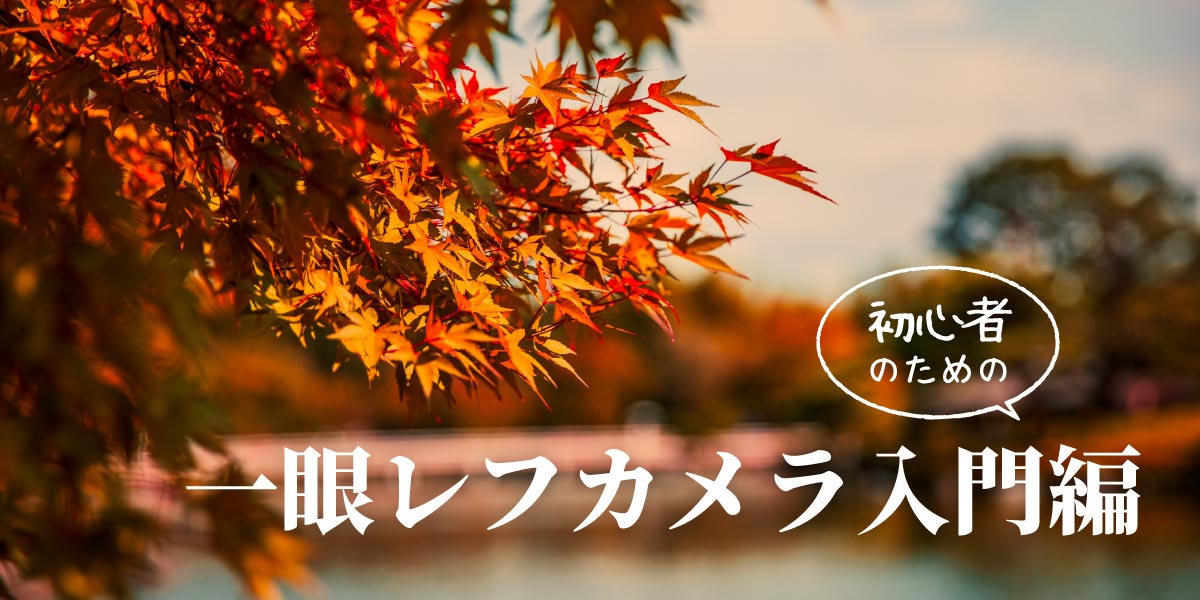 紅葉もきれいに撮れる! 一眼レフカメラ初心者のための入門編