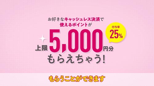 マイナポイントは上限5,000円分・付与率25%