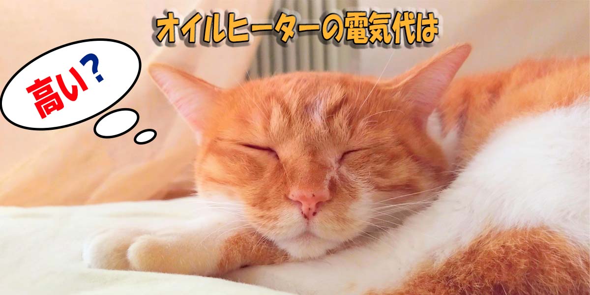 オイルヒーターの電気代は高い？