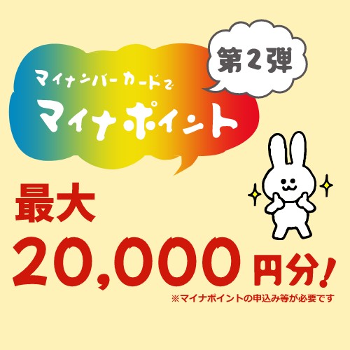 マイナポイントが最大2万円分付与される?