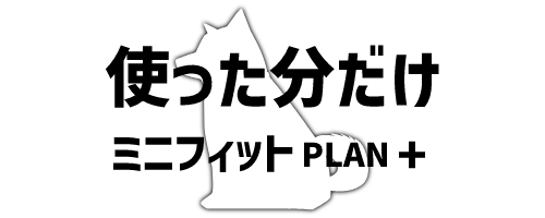 ミニフィットプラン+|小容量プラン