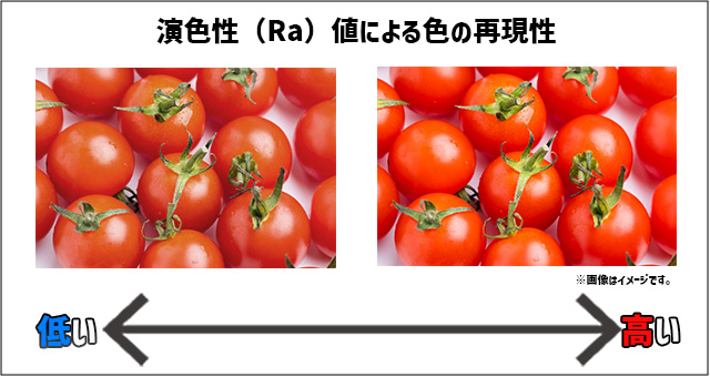 選び方5.演色性