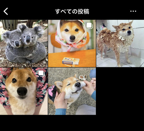 コレクションに保存した画像や動画一覧画面が表示