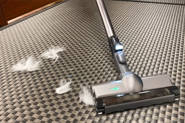 畳 綿掃除