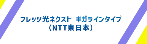 フレッツ光ネクスト ギガラインタイプ(NTT東日本)