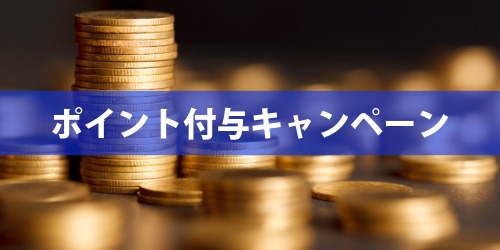 11,000円分ポイント付与キャンペーン!マイナンバーは必要?