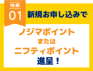 ノジマポイント